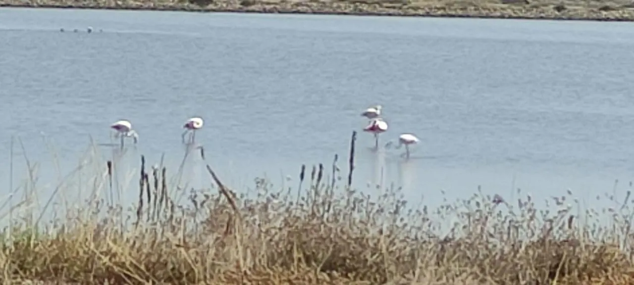 Hébergement de vacances Maison De Vacances A L'Ayguade Classee 3 Etoiles, Climatisee,3Mn A Pied Plage Et Restos ,5Mn Aeroport, 10Mn Gare Hyères France
